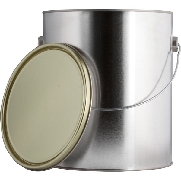 Gallon Epoxy Lined Paint Cans with Lid & Handles